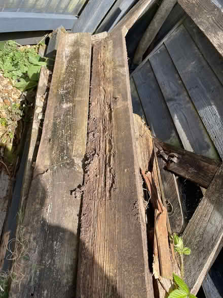 Photo of free Scrap wood (Gurney Slade BA3 4TH) #2