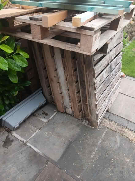 Photo of free Approx 18 small pallets (Wollaton ng8) #1