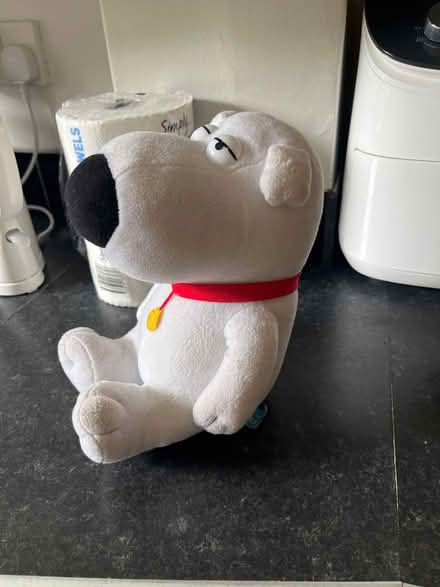 Photo of free Family guy dog soft toy (Bath BA2) #2