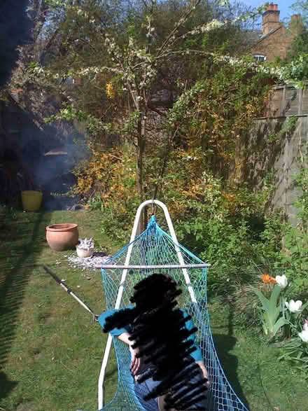 Photo of free Stand alone hammock (Moseley B13) #1