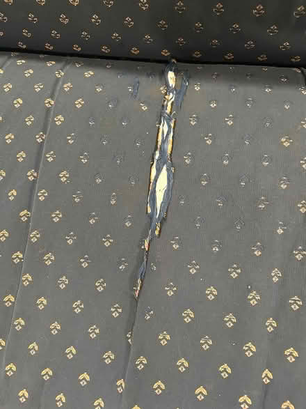 Photo of free clawfoot full length blue sofa (Southwest Ft Worth) #2