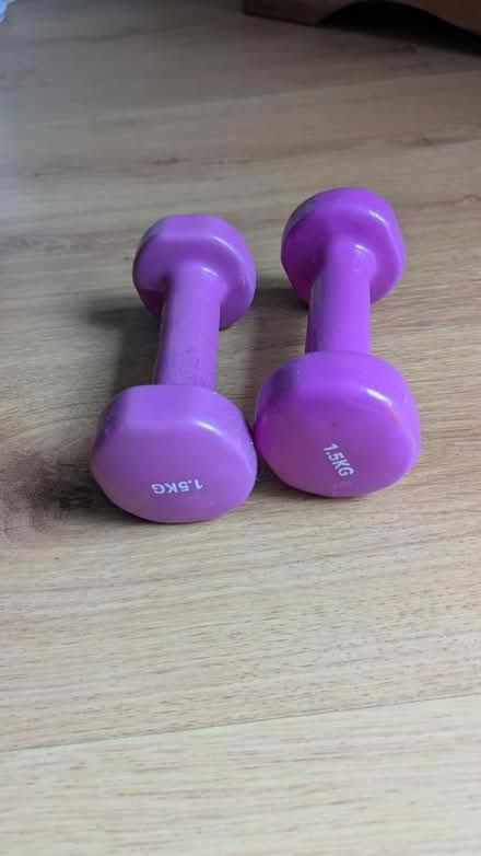 Photo of free Small dumbbells 1.5kg (SY11) #1