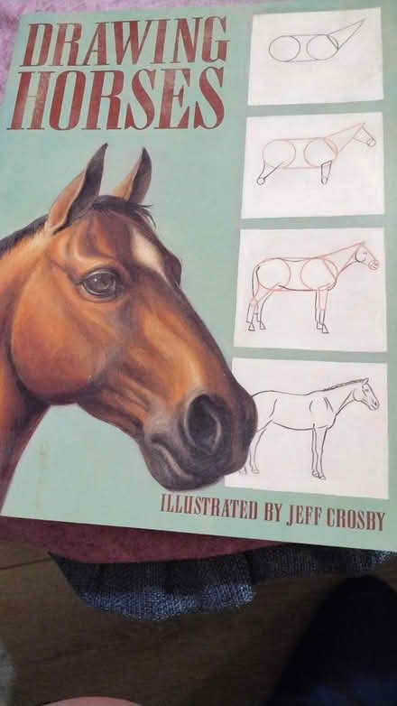 Photo of free Drawing Horses (Allen) #1