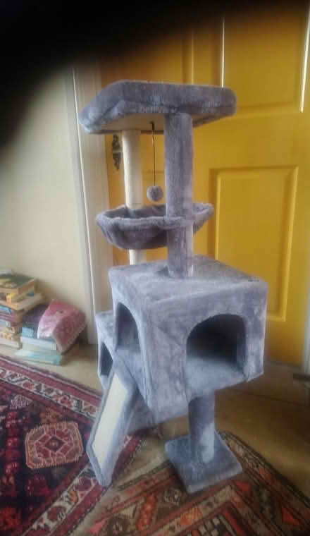 Photo of free Cat tower (Tyberton, Madley, HR2) #1