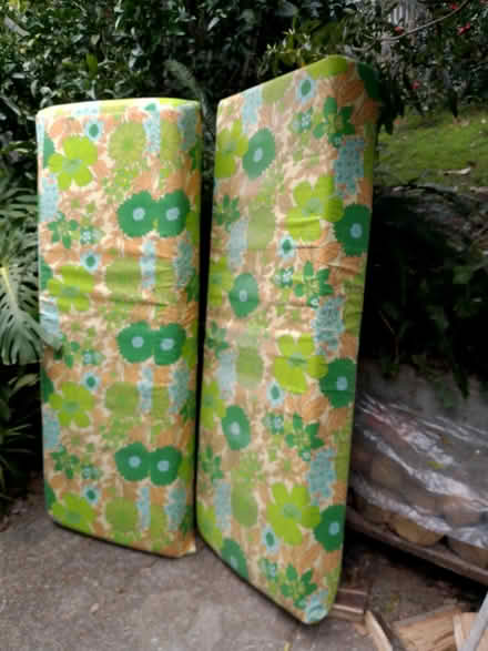 Photo of free Two foam mattresses (Bega) #1