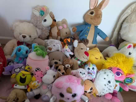 Photo of free Teddies (Malvern WR14) #1