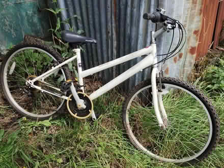 Photo of free Ladies Probike (Bere Alston) #1