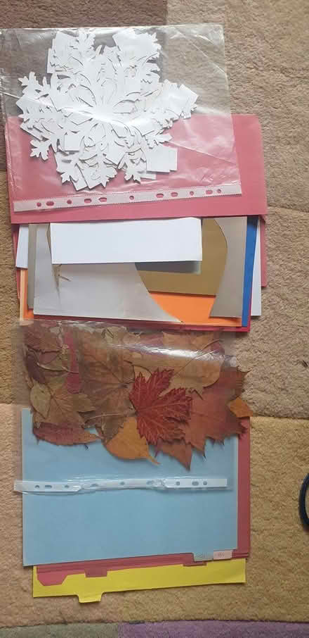 Photo of free Craft bits, pressed leaves, card (Parkstone, Poole, BH14) #1