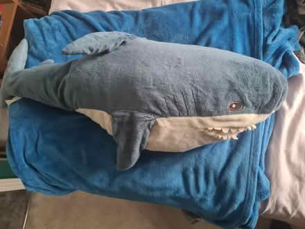 Photo of free Shark soft toy (Widford CM1) #1