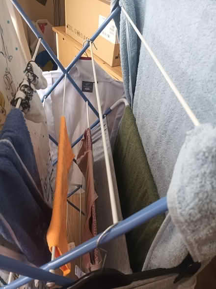 Photo of free Clothes airer (Herne Bay CT6 5PR) #1