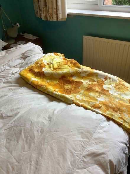 Photo of free Yellow curtains (pair) (Nast Hyde Farm AL10) #2