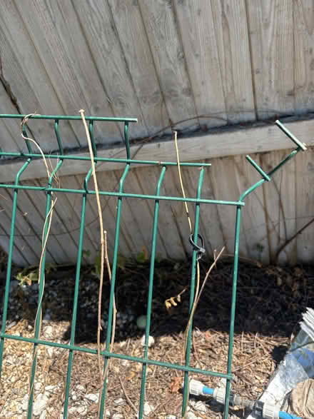 Photo of free Security fence - 303cm wide x 249cm tall (Kingston Bagpuize OX13) #2