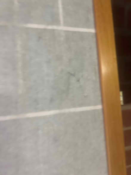 Photo of free Screen (Belle vue Shrewsbury) #3