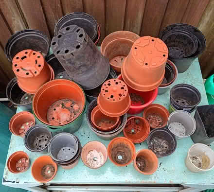 Photo of free Large Collection of Plant Pots (Harlington UB3) #2