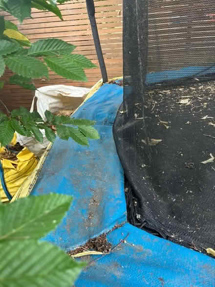 Photo of free Large trampoline (Summertown OX2) #3