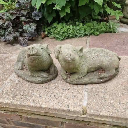 Photo of free Pair concrete garden pigs (Clive Vale TN35) #2