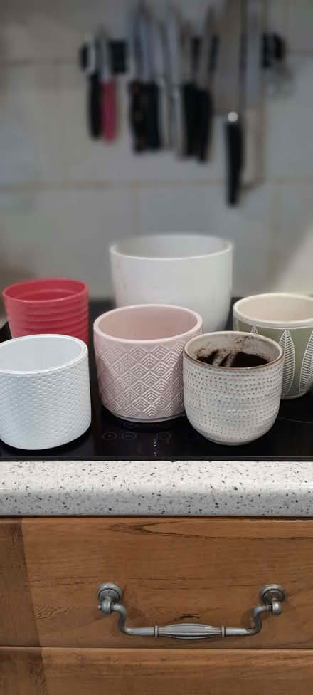 Photo of free Flower pots- collection bottom of Selsley Hill (Selsley GL5) #1