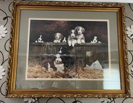 Photo of free Framed dog print (Berrow TA8) #1