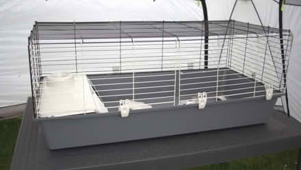 Photo of free Cage for guinea pigs or small rabbits (Stanley Green BH15) #2