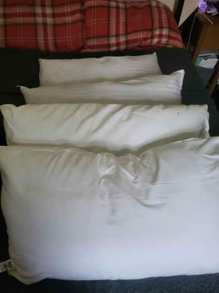 Photo of free Pillows x 4 (Halifax HX2) #1
