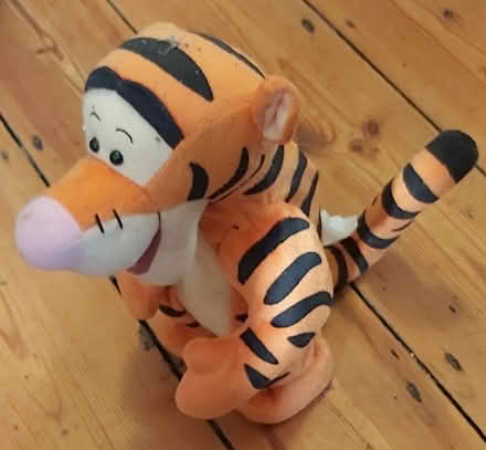 Photo of free tigger (Great Wakering SS3) #1