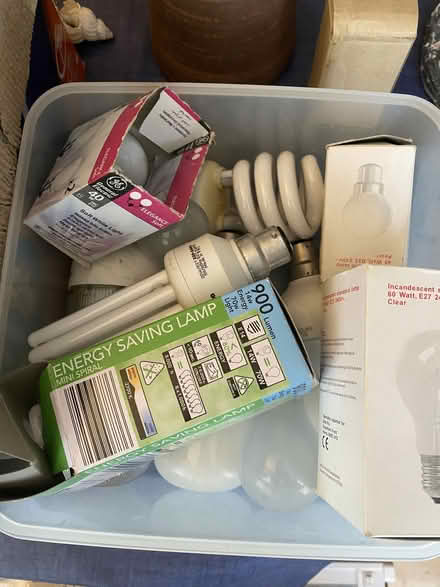 Photo of free Energy saving and standard bulbs (St Leonards Green TN38) #1