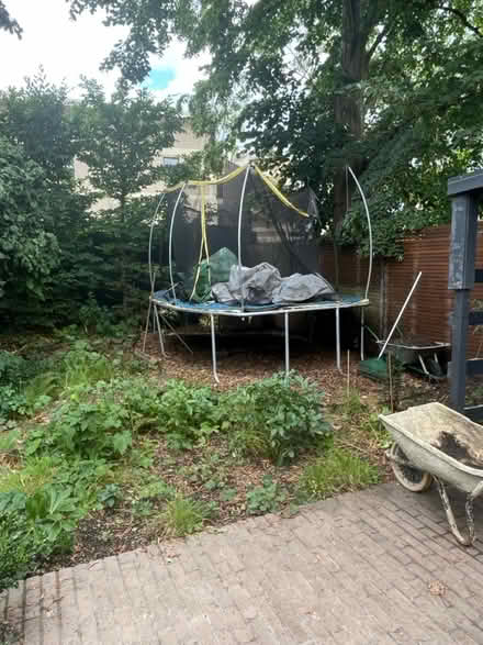 Photo of free Large trampoline (Summertown OX2) #1