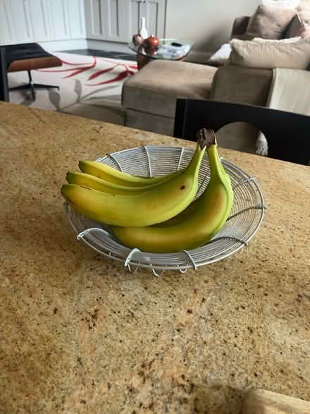 Photo of free Wire bowl (Old ottawa south) #2