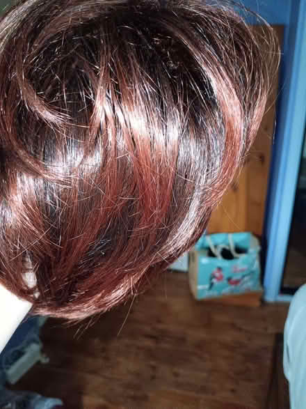 Photo of free unworn wig (The Rock TF3) #2