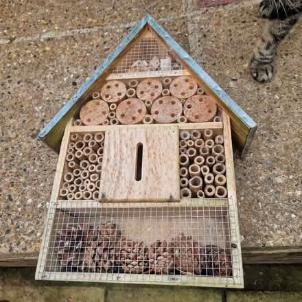 Photo of free Bug hotel (Clive Vale TN35) #1