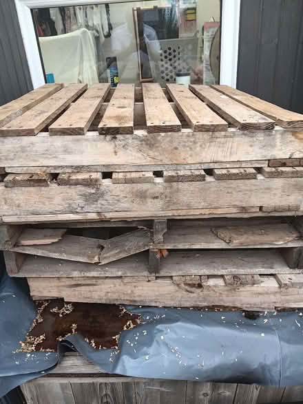 Photo of free Approx 18 small pallets (Wollaton ng8) #3