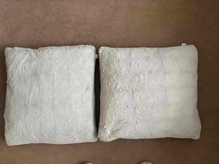 Photo of free Two grey cushions (Carrick Knowe EH12) #1