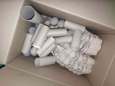 Photo of free Egg boxes, toilet roll inners (The Rock TF3) #1