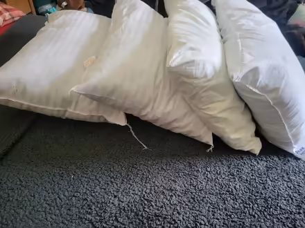 Photo of free Pillows x 4 (Halifax HX2) #2