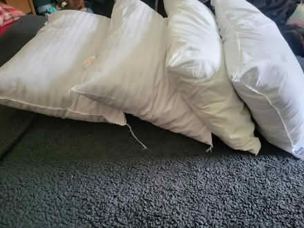 Photo of free Pillows x 4 (Halifax HX2) #2