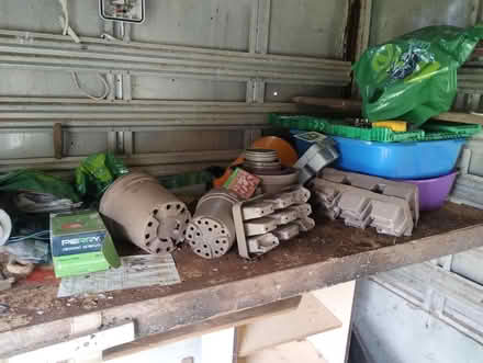 Photo of free Various Plant pots (Bere Alston) #1