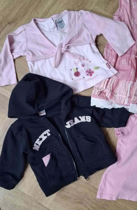 Photo of free Baby girl clothes 6-9 monthss (Boughton Monchelsea ME17) #3