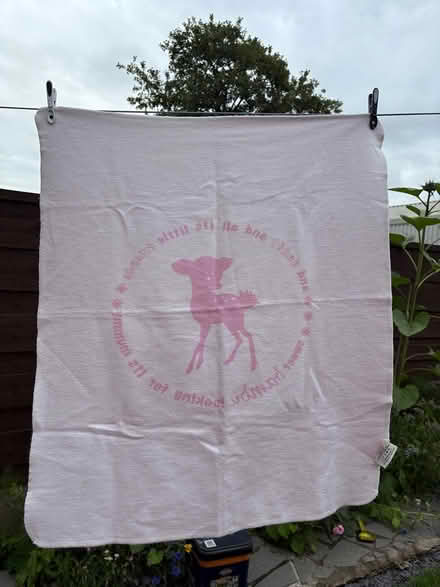 Photo of free 2 Pink baby blankets (Stockport centre SK1) #3