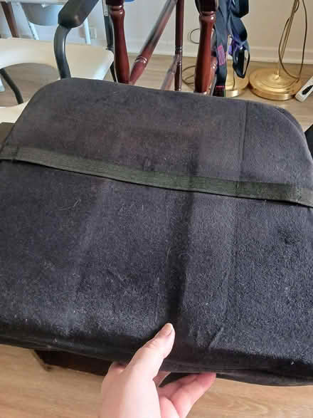 Photo of free ObusForme Lumbar support cushion (Baseline/Greenbank) #2