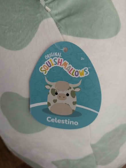Photo of free Brand New Squishmallow (East Watertown, near Filipello) #1