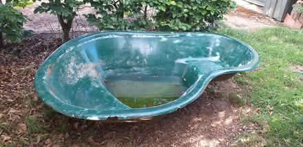 Photo of free Large pond (Petersfield, GU32) #2