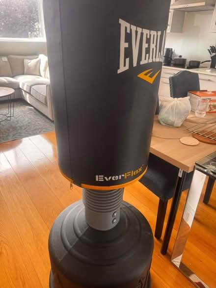 Photo of free Everlast boxing bag (Bushey) #4