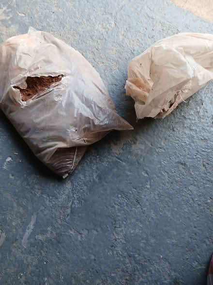 Photo of free Builders sand and cement (Rydon Park EX2) #1