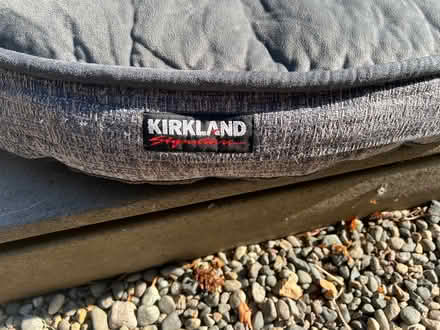 Photo of free Large dog bed (Lake City/Meadowbrook) #2