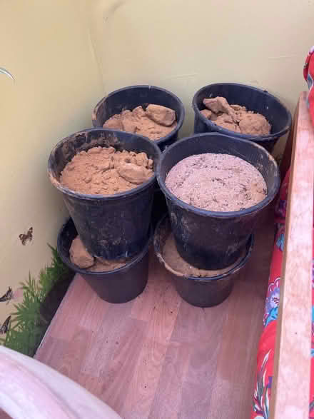 Photo of free Bucket(s) of sand (Slade Green DA8) #1
