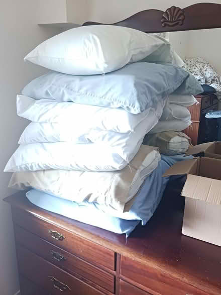 Photo of free Pillows (Baseline/Greenbank) #1