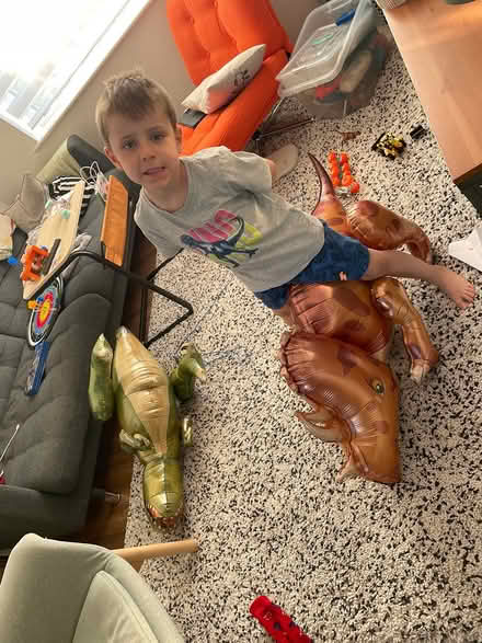 Photo of free Dinosaur Balloons (Ballyfermot) #3
