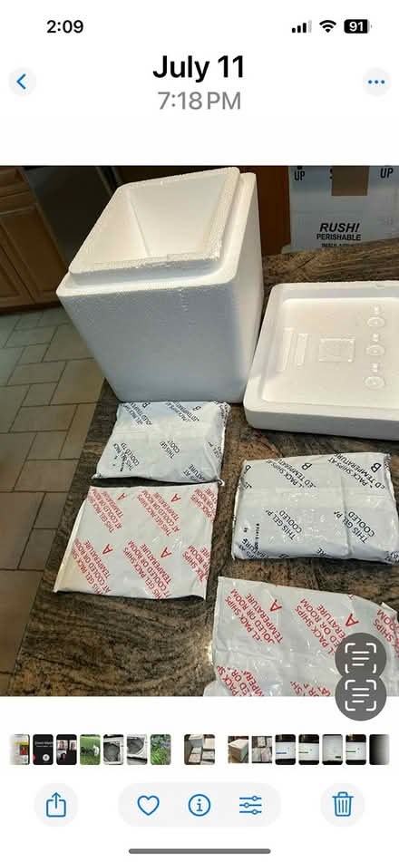 Photo of free Cooler and ice packs (Lexington MA) #3