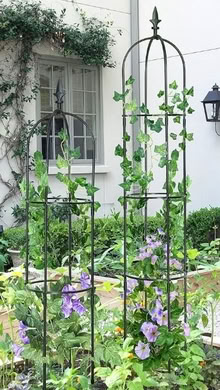 Photo of Garden trellis (Davisville) #2