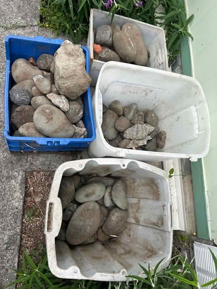 Photo of free Landscaping River Rock (Arcata) #1